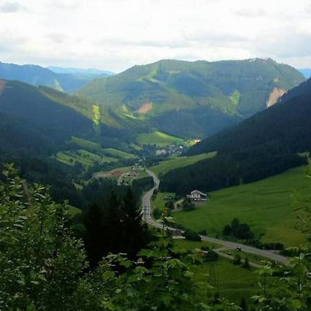 Charmante Ferienwohnung In Vordernberg - Alpenidylle Pur Extérieur photo